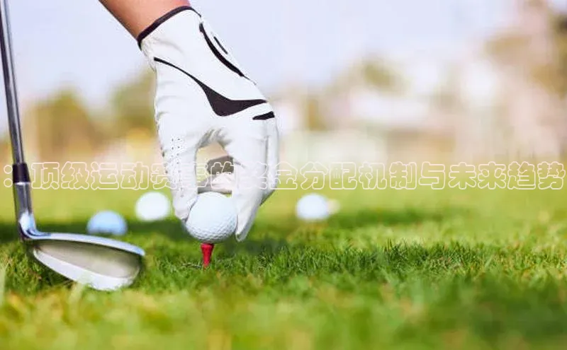 qy球友会体育官网下载