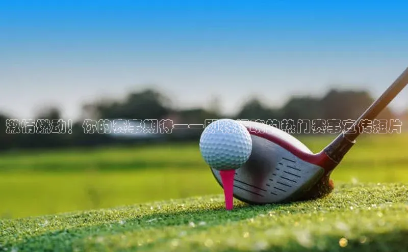 qy球友会体育官网下载